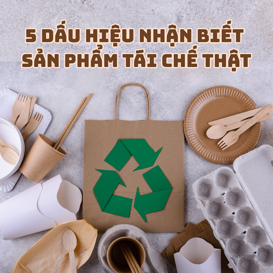 LÀM THẾ NÀO ĐỂ NHẬN BIẾT SẢN PHẨM TÁI CHẾ THẬT? 5 DẤU HIỆU NHẬN BIẾT KHÔNG THỂ BỎ QUA